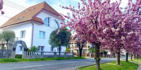 Amadeus Villa
