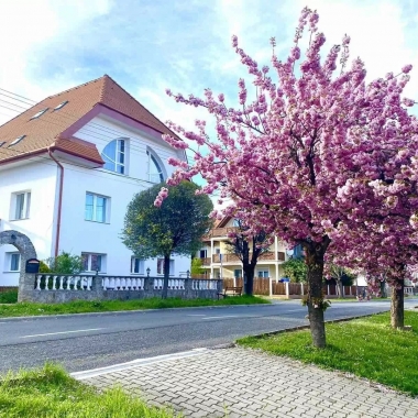 Amadeus Villa Hévíz